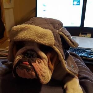 Meet your Posher, Laura